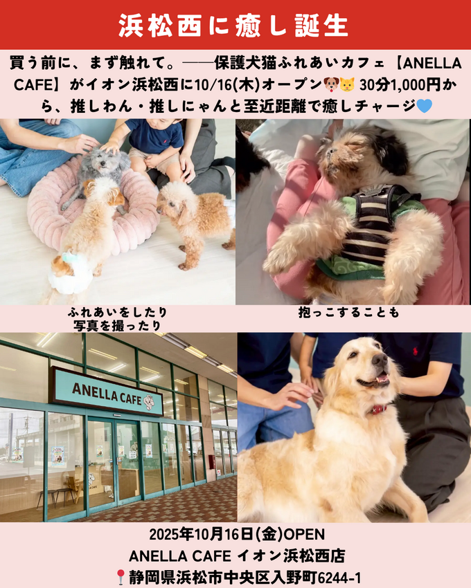 1018_静岡ニュース (11).png