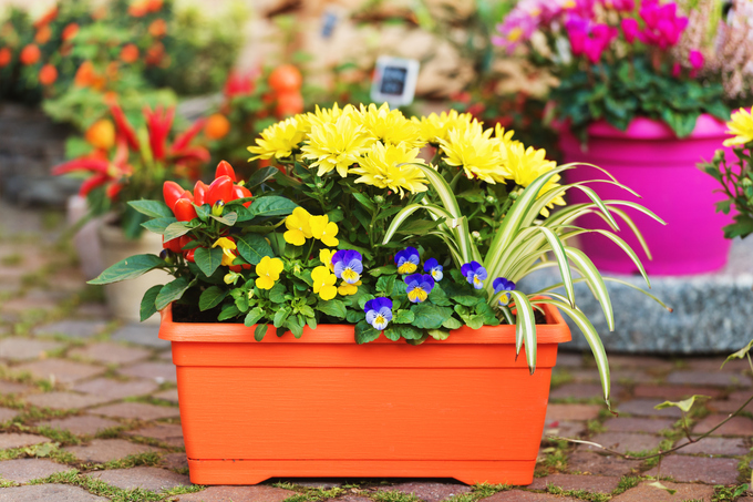 iStock-1124377349.jpg