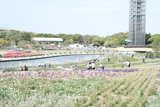 チケットはどこで買える？【浜名湖花博2024ガイド】入場料は？犬も入れるって本当？さまざまな疑問を解決します！