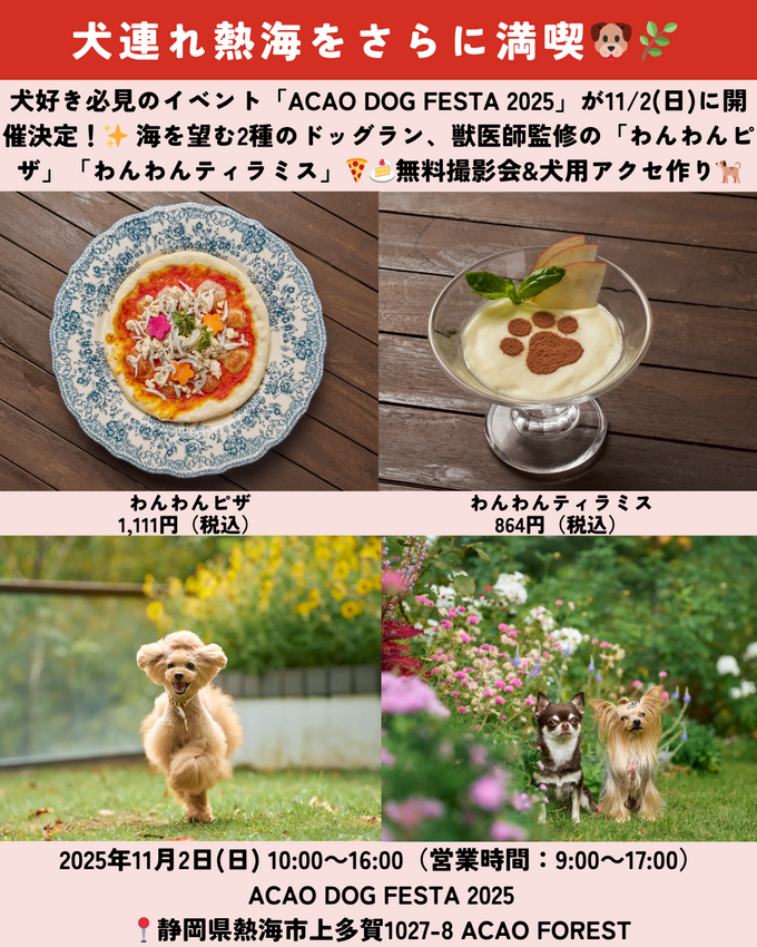 1018_静岡ニュース (8).png