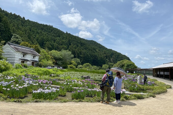 今年も人気イベントが帰ってくる！【掛川市】「4月26日～6月23日までの期間限定です」親子3世代でも楽しめるよ