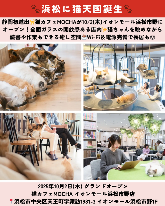 0920静岡ニュース (6).png