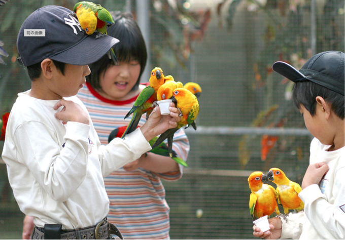 スクリーンショット 2023-12-12 14.17.50.png