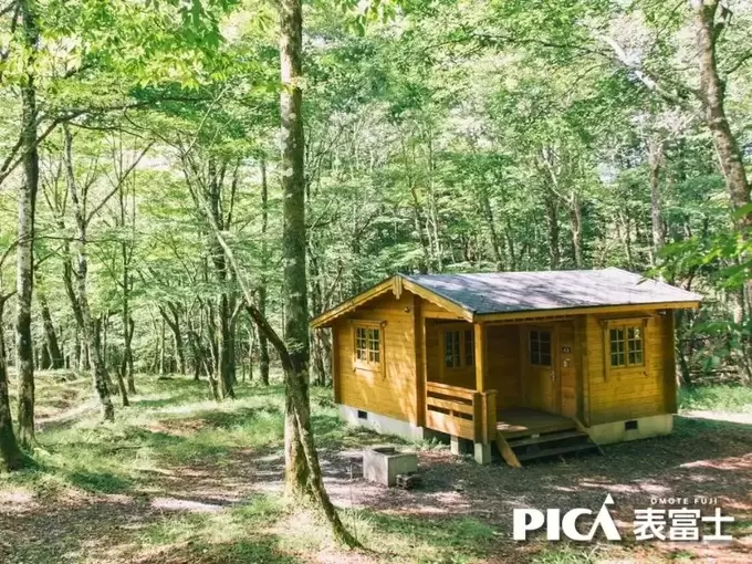 1110-1810-8de5d61f3808c7d8055e05a3d8069d6d-800x600.jpg