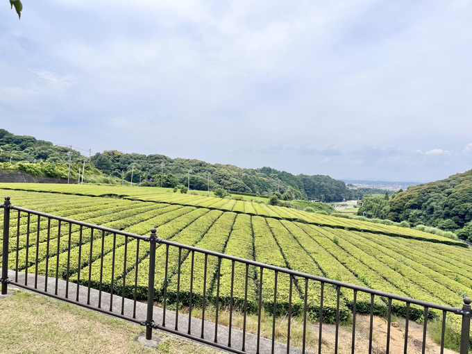 豊沢の丘公園8.jpg