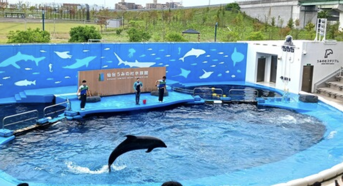 仙台ママが案内！【仙台うみの杜水族館】意外な見どころ・イベント・割引情報 | くふうロコ仙台with東北電力フロンティア