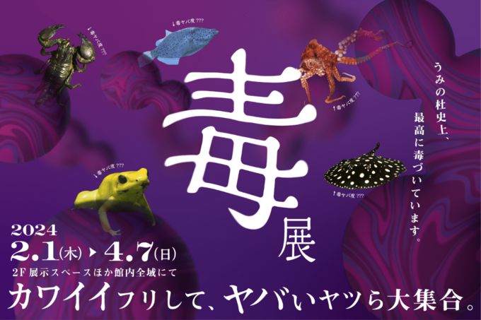 あと1週間しか見られない！【仙台うみの杜水族館】カワイイのに"ヤバい"ヤツら大集合！？限定ガチャにも注目