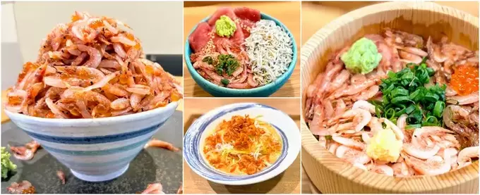 えっ日本で【静岡】だけ?『桜えびの水揚げ漁』解禁!"生桜えび"も食べれちゃう♡桜えび尽くしの春ランチ4選を紹介♪