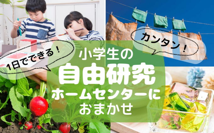 【小学生の自由研究】夏休みに最短1日で完成！ホームセンターで揃うから簡単！忙しい親子でも作れるテーマ21選