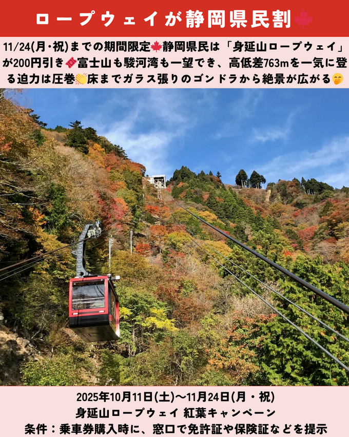 1011_静岡ニュース (6).png