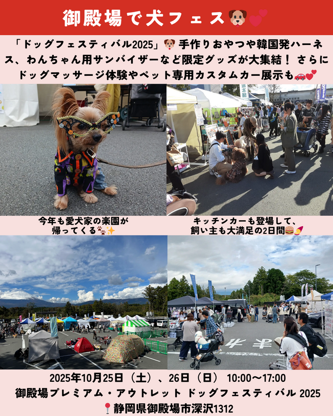 1011_静岡ニュース (9).png