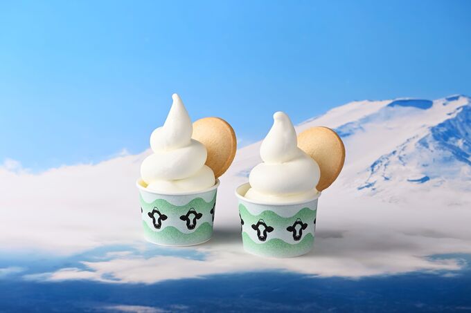 ソフト.jpg