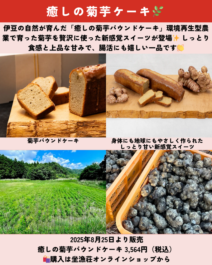 0823静岡ニュース (8).png