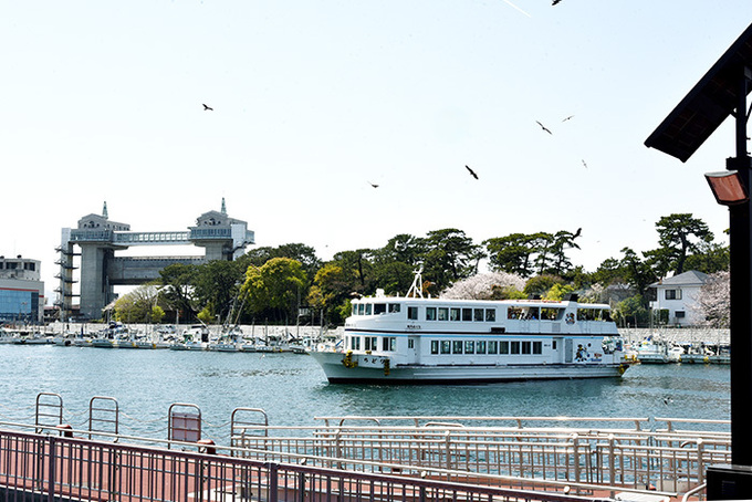 沼津港09.jpg