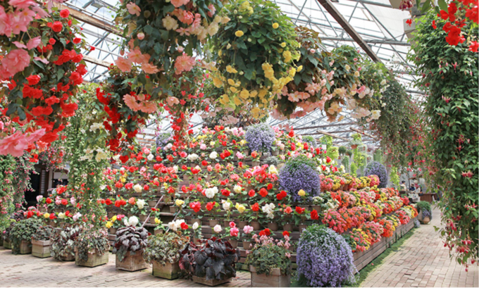 スクリーンショット 2023-12-12 14.19.38.png