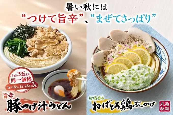 大大大ヒット間違いなし！「3玉まで無料」って【丸亀製麺】さん神！完売前に急げッ！「旨辛＆さっぱり」暑い秋の新作2種