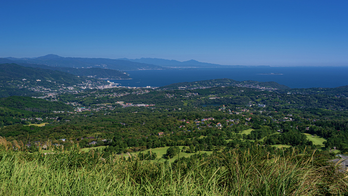 iStock-1344144579.jpg