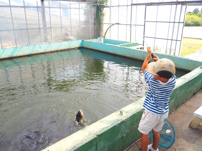 「釣れたよ~!」初心者も4歳の子ども楽しめる!【浜松市】「簡単ティラピア釣り」「期間限定でニジマスも」浜名湖の人気スポット