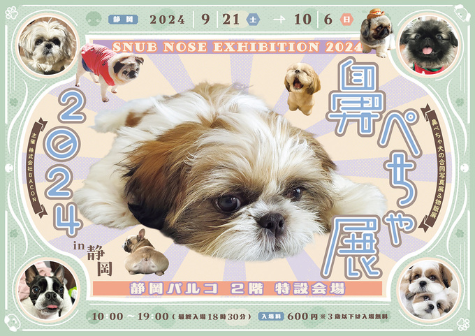 4年ぶりに戻ってきた！【静岡市・葵区】「かわいいの暴走が止まりません♡」癒され効果抜群の『鼻ぺちゃ展』へ行こう！