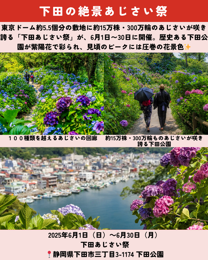 0531静岡ニュース (8).png