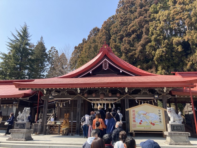 ”白蛇お巳くじ”で金運アップ【金蛇水神社】の必見スポットと「可愛すぎて食べられない」併設カフェを大紹介！