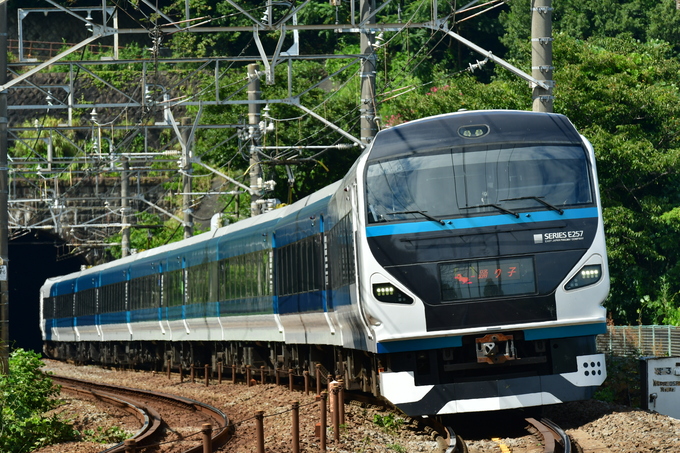 CE202099-03　E257早川〜根府川(提供：JR東日本).JPG