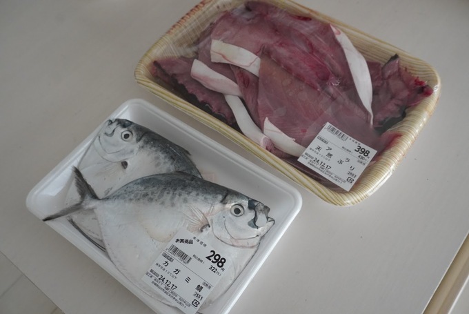 JM魚.JPG