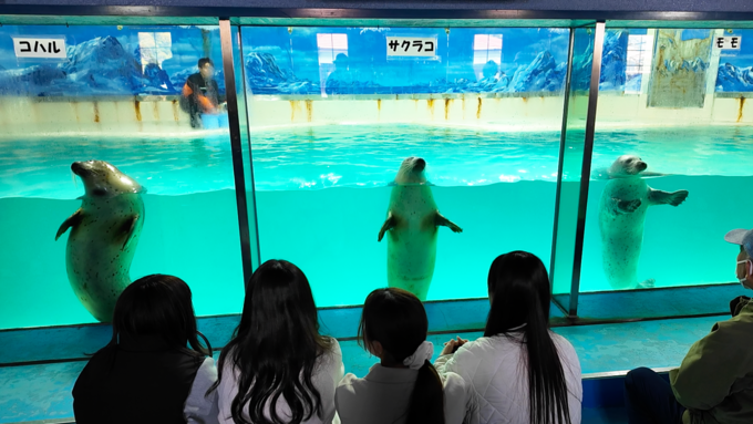 下田海中水族館_アザラシショー1.png