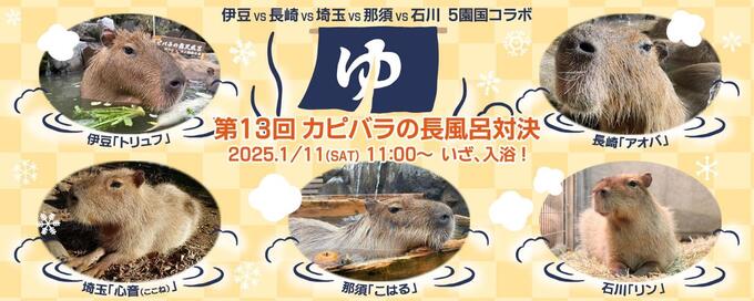 【珍対決】全国No.1の"カピバラ選手権"って何?!【伊豆シャボテン動物公園】「第13回カピバラの長風呂対決」開催!