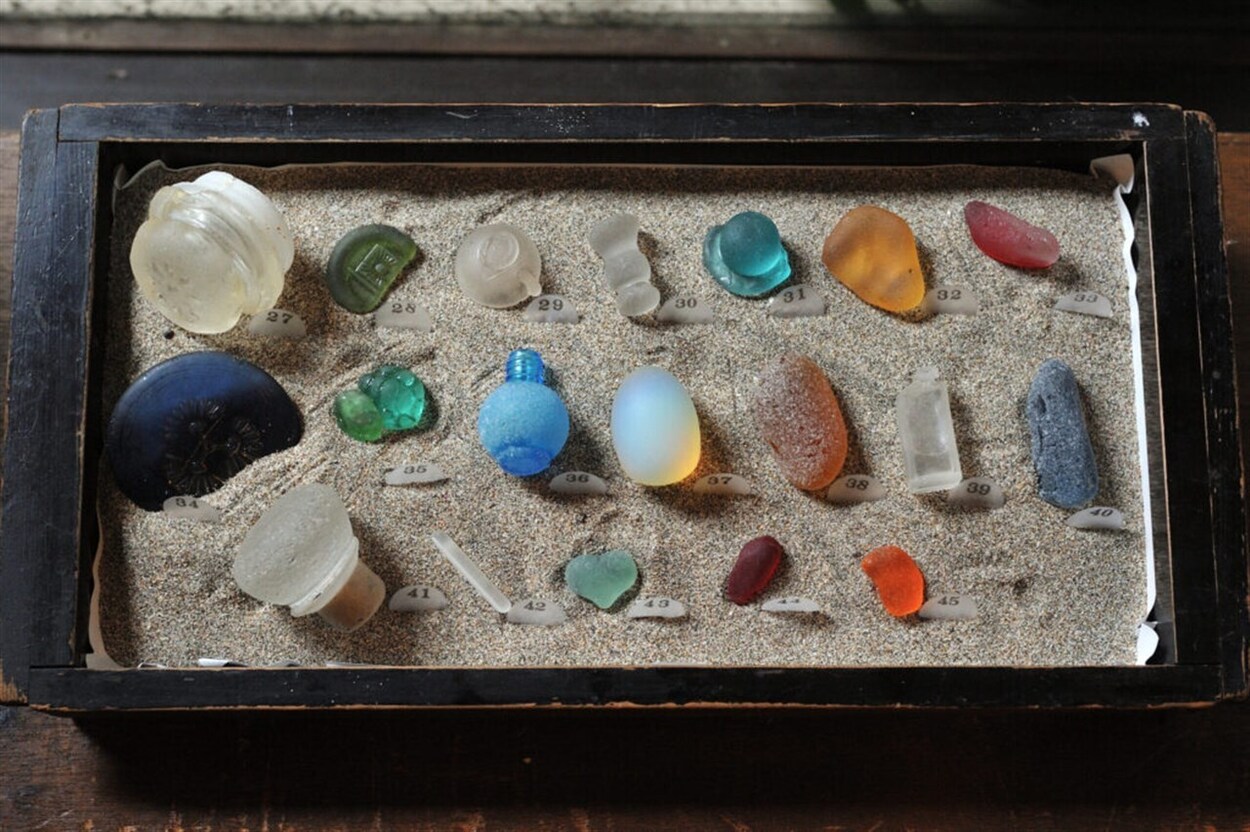 ビーチグラス＆貝殻探し