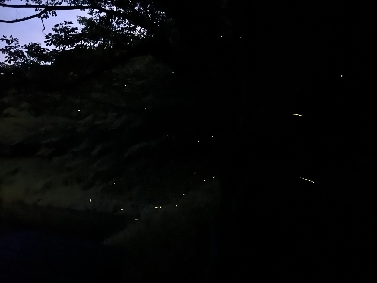 はままつフルーツパーク時之栖 2026 ホタルの夕べ