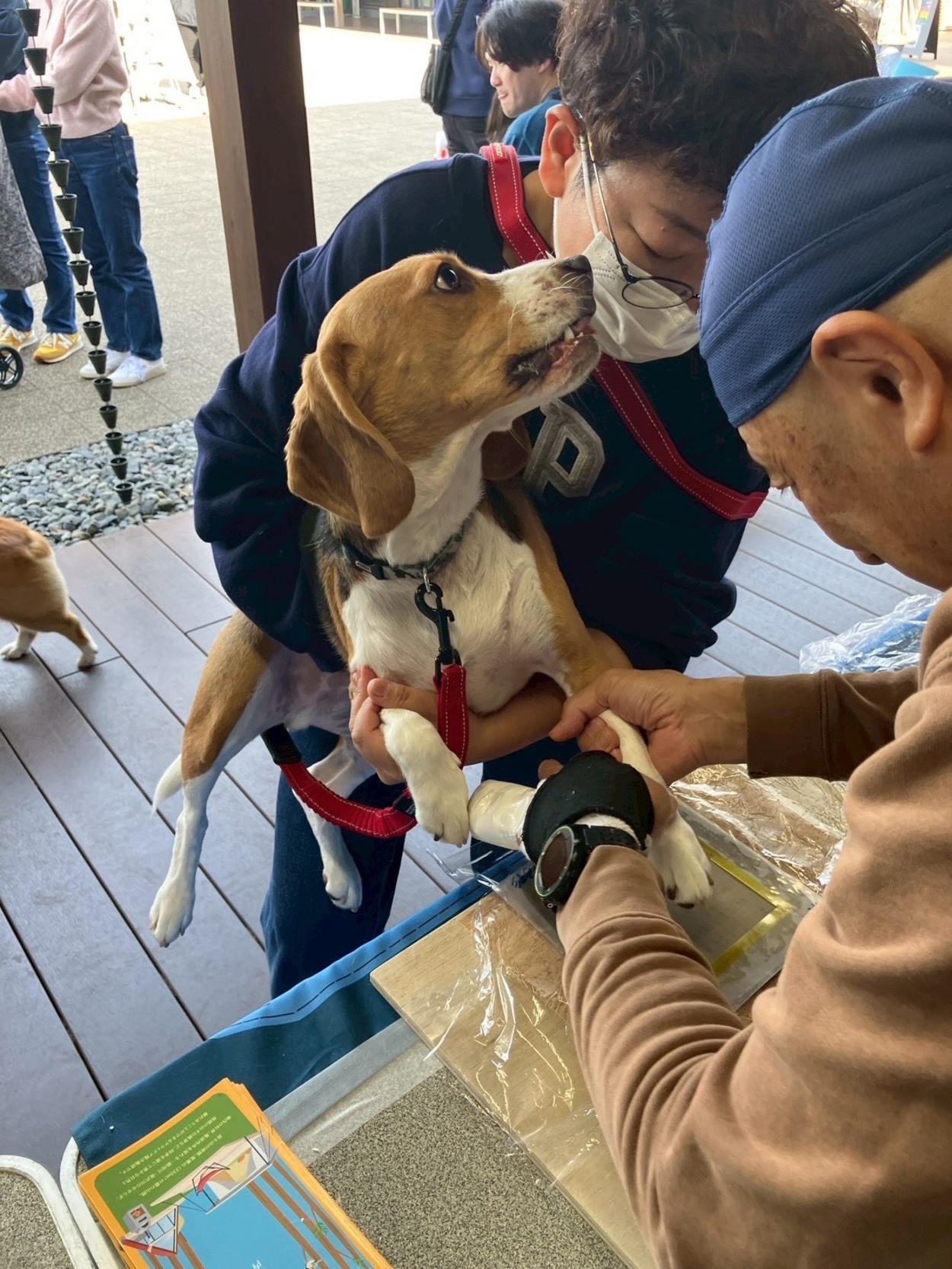 【出張陶芸】1/31（土）わんこと一緒に特別な思い出を🐾