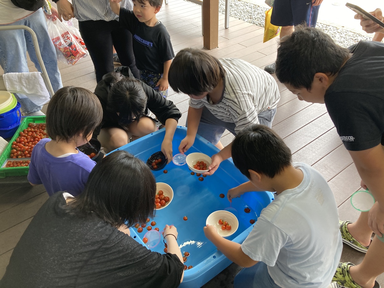 【ゲートウェイ食市】ミニトマトすくい