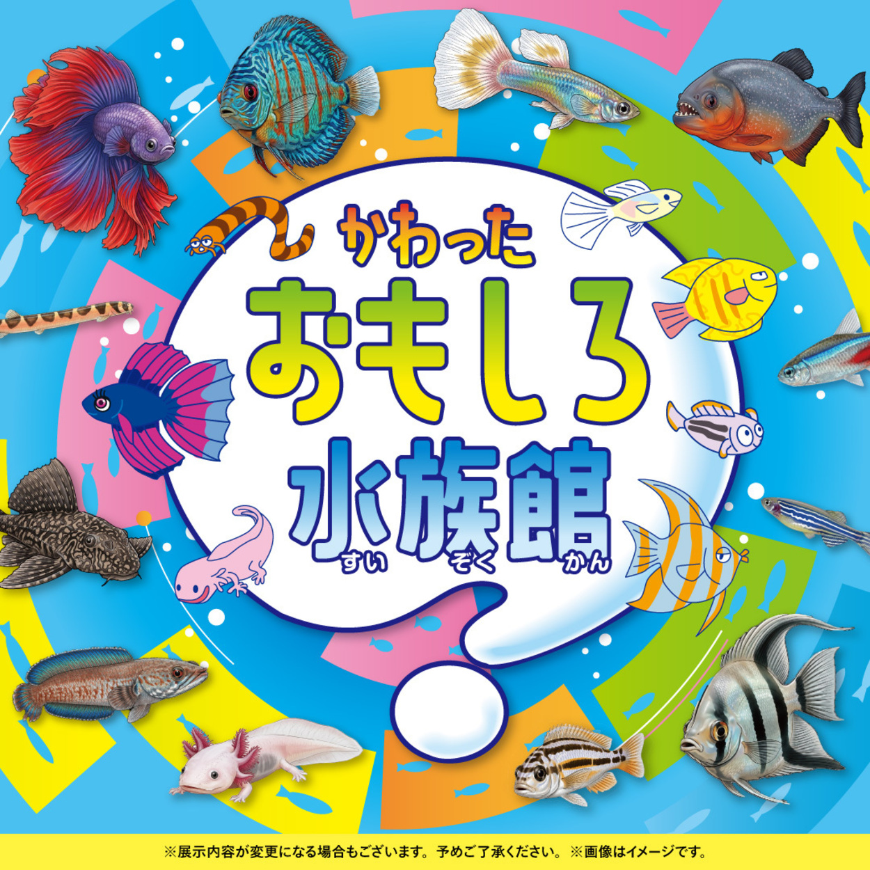 かわったおもしろ水族館