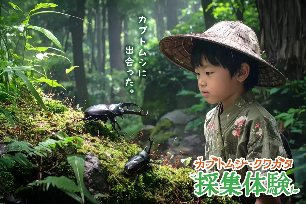 カブトムシ・クワガタ採集体験