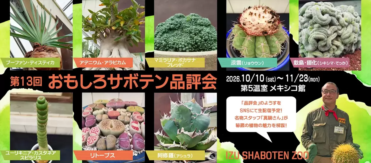 第13回おもしろサボテン品評会