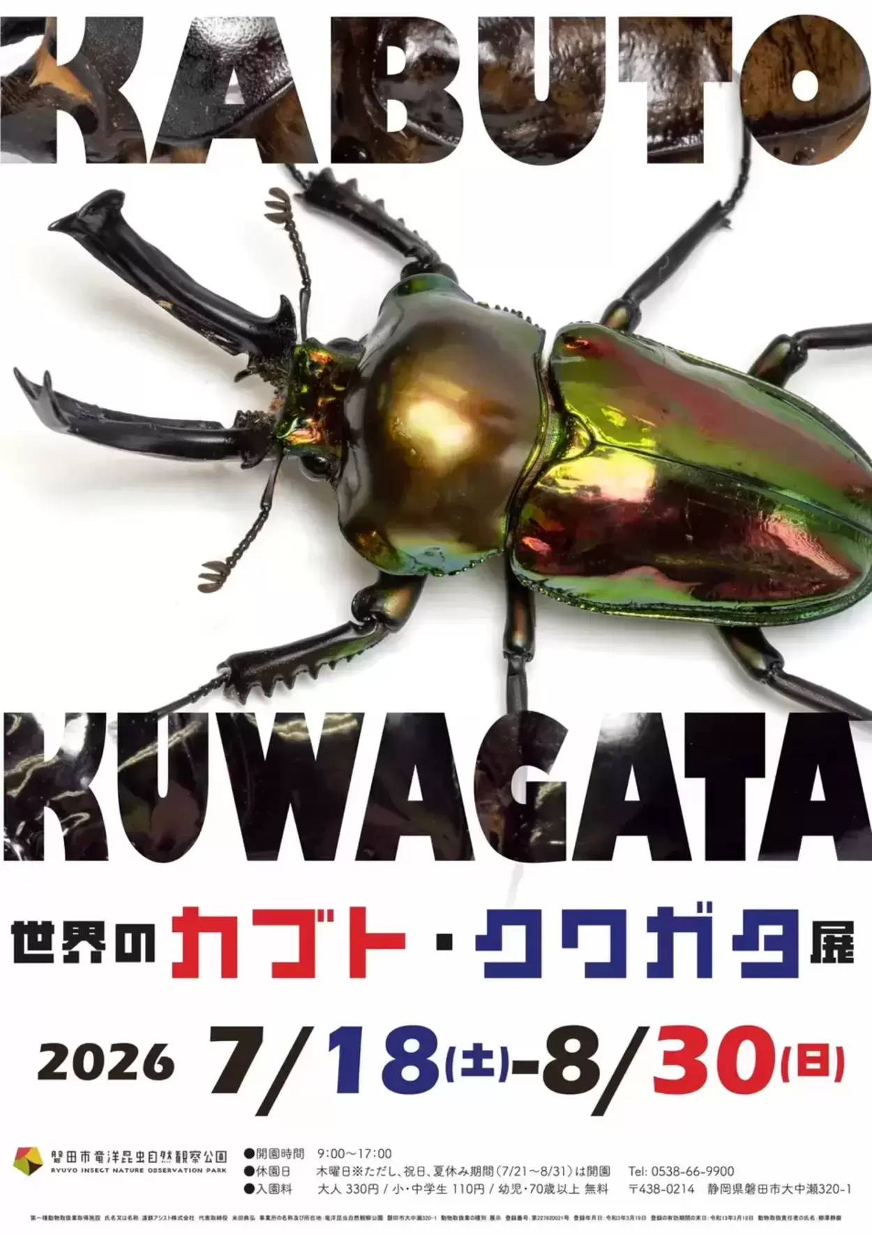 企画展「世界のカブト・クワガタ展」