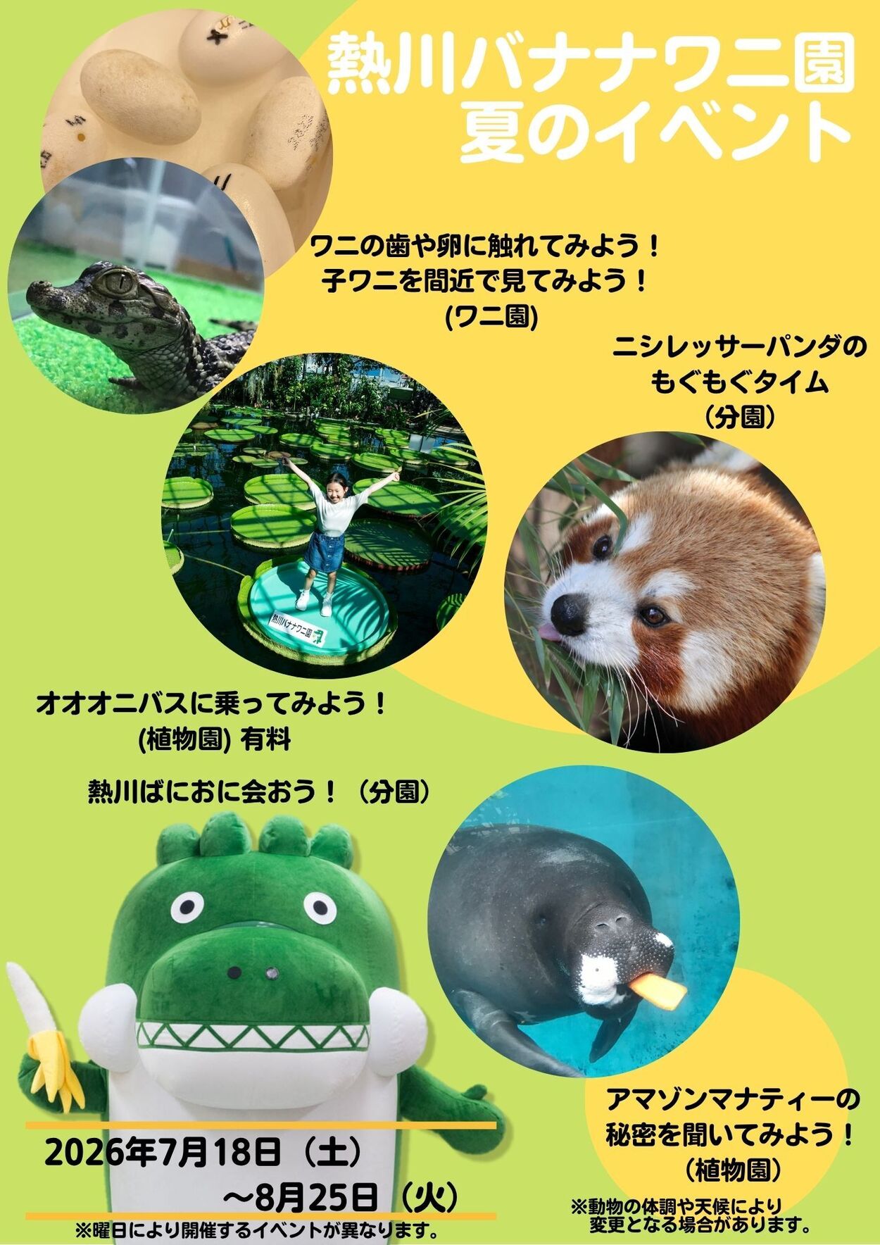熱川バナナワニ園 夏のイベント【2026年】