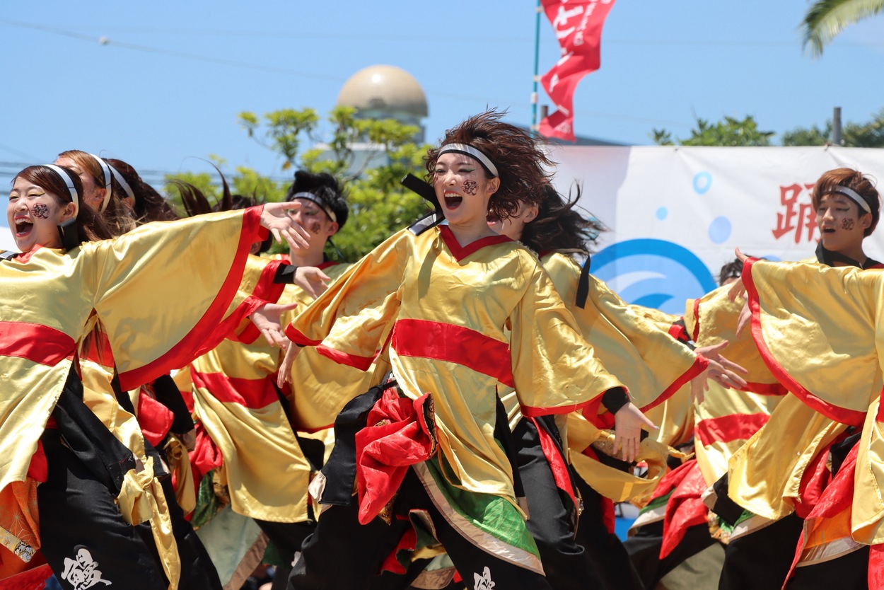 焼津市制75周年 第25回 踊夏祭（おどらっかさい）