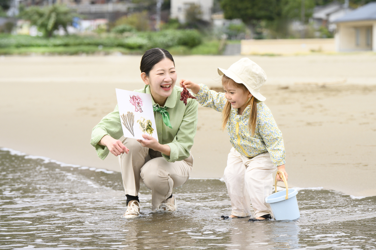 海藻の学校