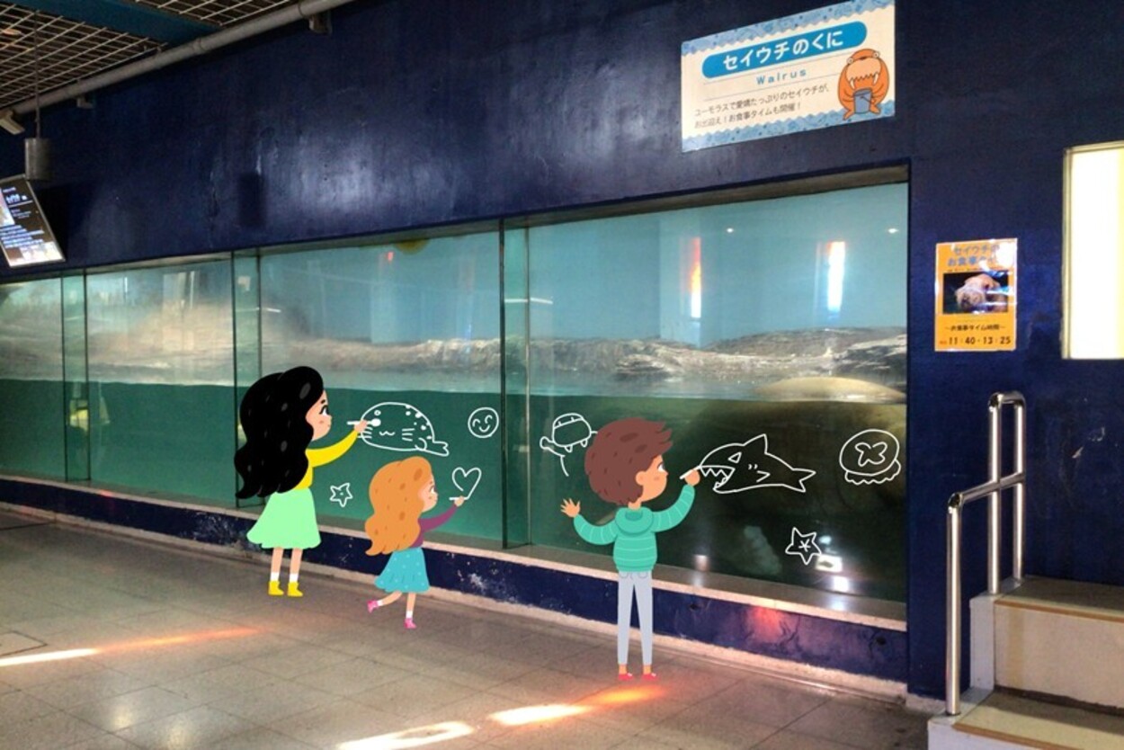 セイウチ水槽アート～みんなで水槽のガラスに絵を描こう！～
