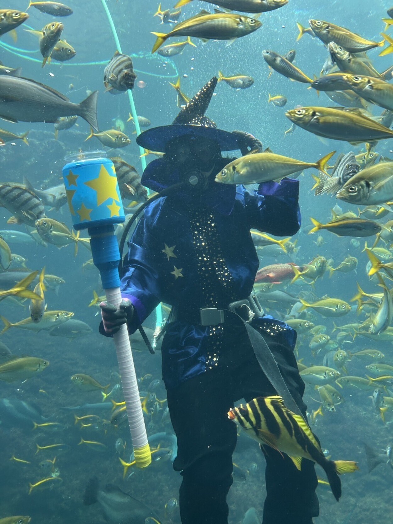 魚たちも楽しみ? 今年も仮装ダイバー登場! ~魚の餌付けショー“ディスカバリーオーシャン”ハロウィーン Ver.~