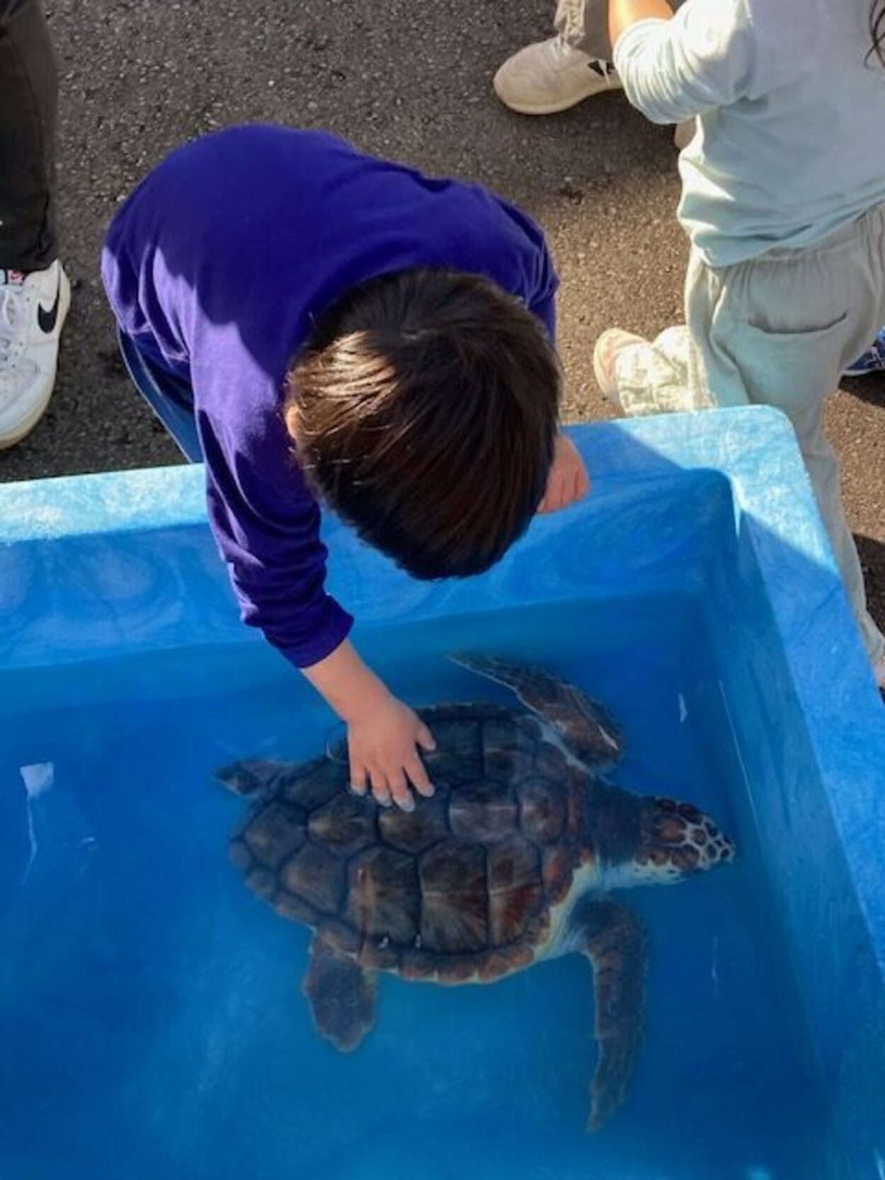 下田海中水族館がやってくる！