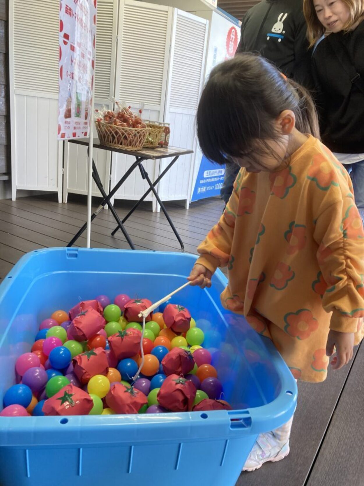 【食市】かんなみトマト釣り