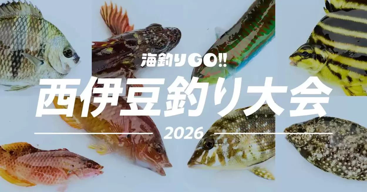 海釣りGO 西伊豆釣り大会2026