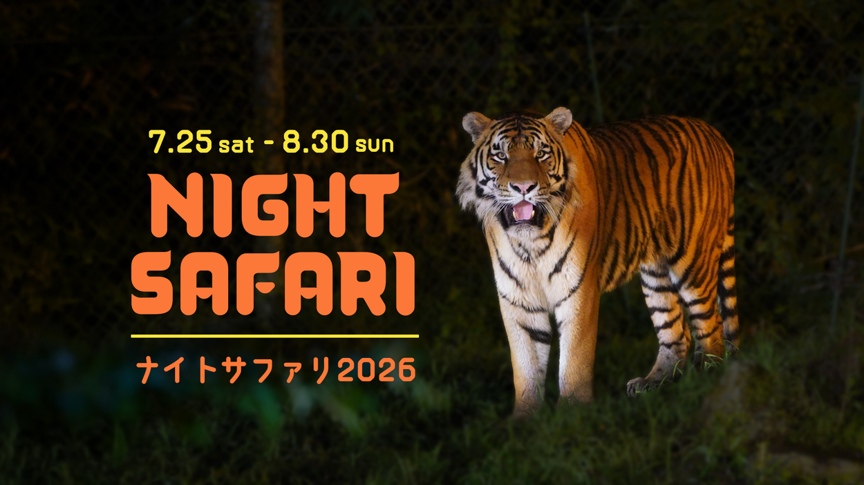 ナイトサファリ2026