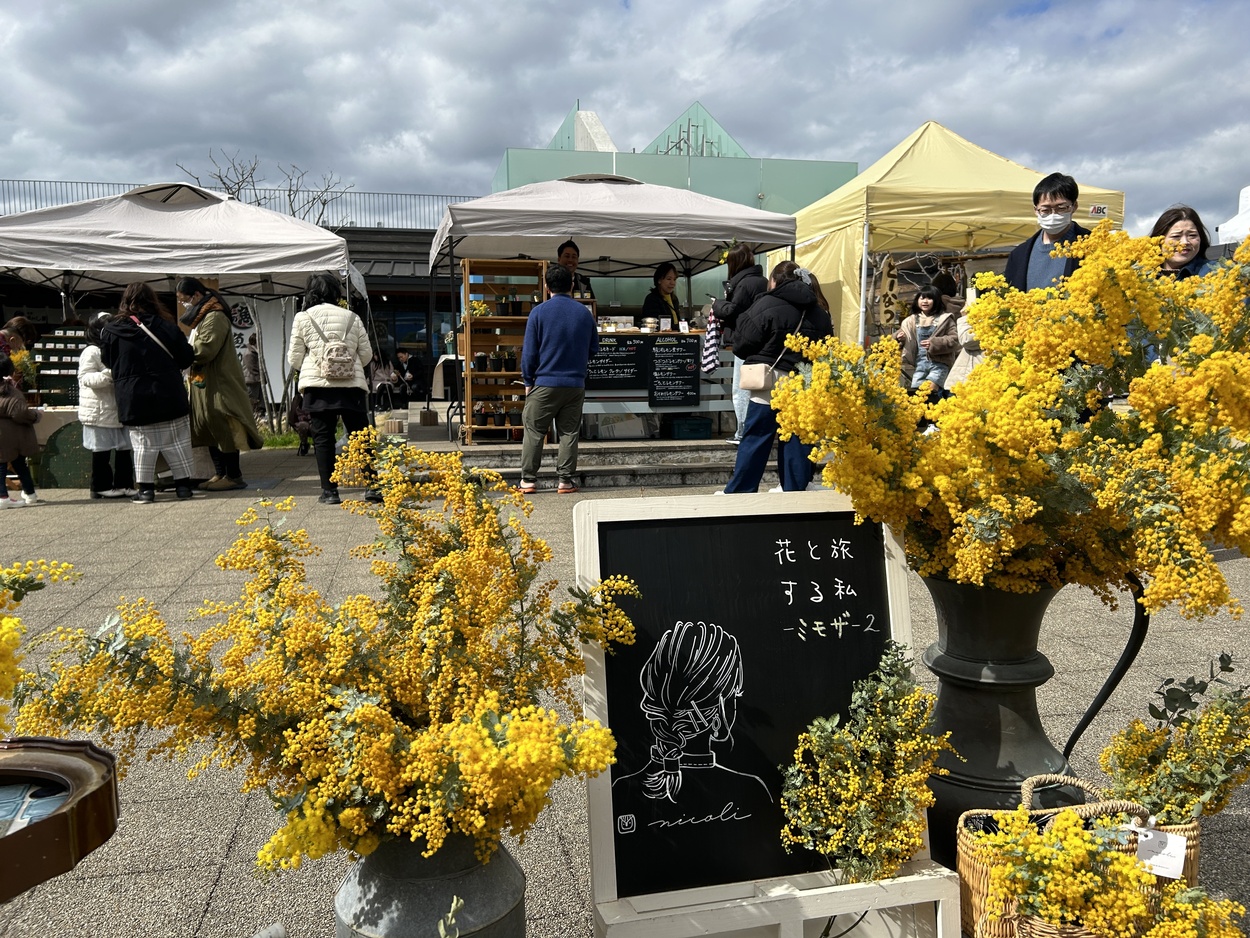 花と旅する私-ミモザ- 4