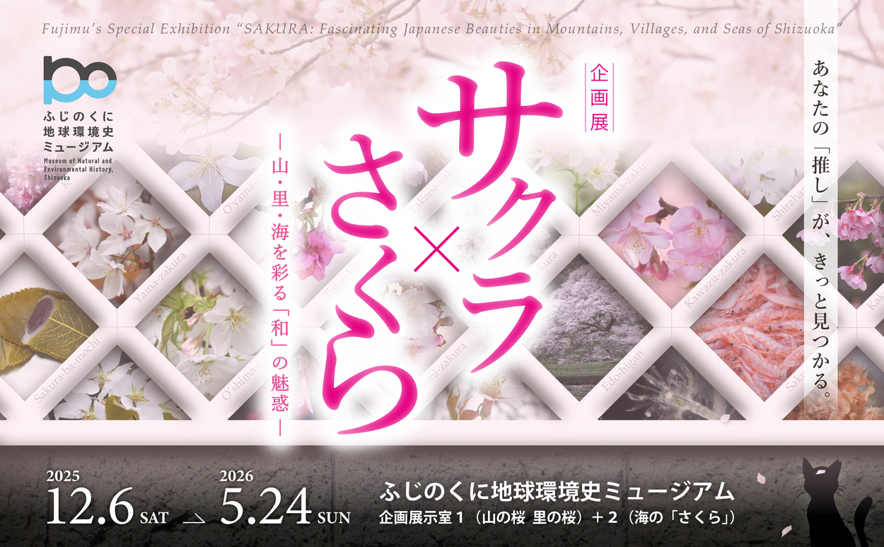 サクラ×さくら－山・里・海を彩る「和」の魅惑－