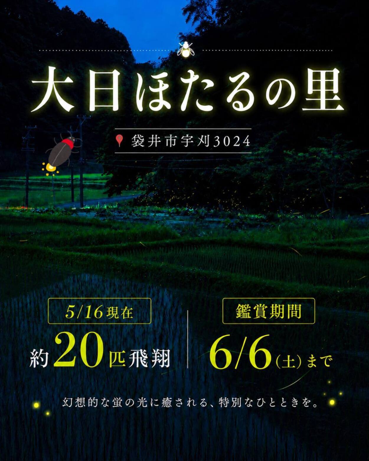大日ほたるの里