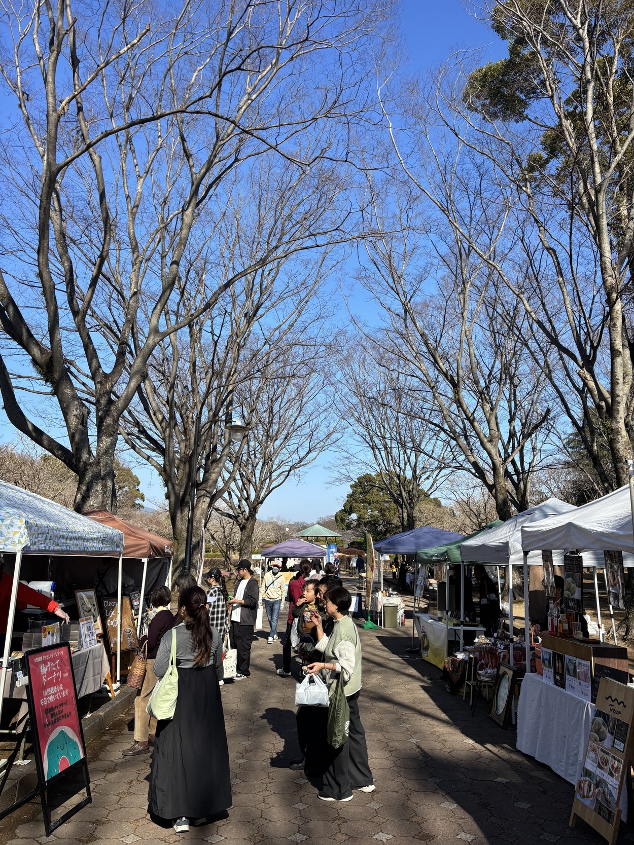 コノマチマルシェ【2026年3月15日】